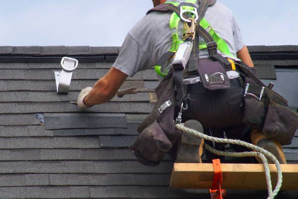 Best Roof Maintenance Services  in Lakeview, OH