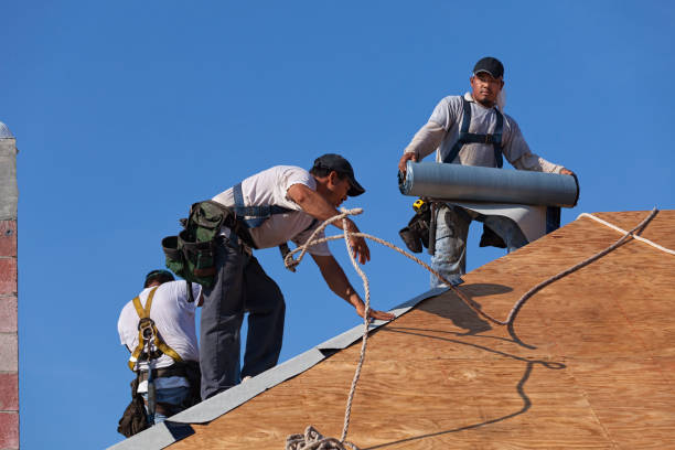 Best Roof Maintenance Services  in Lakeview, OH