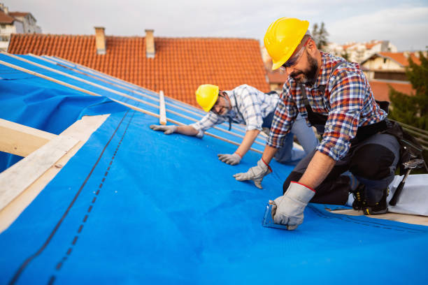 Best Roof Leak Repair  in Lakeview, OH