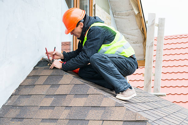 Best Local Roofing Companies  in Lakeview, OH