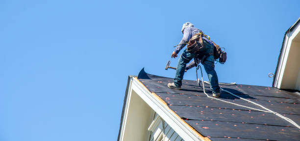 Best Roof Waterproofing Services  in Lakeview, OH